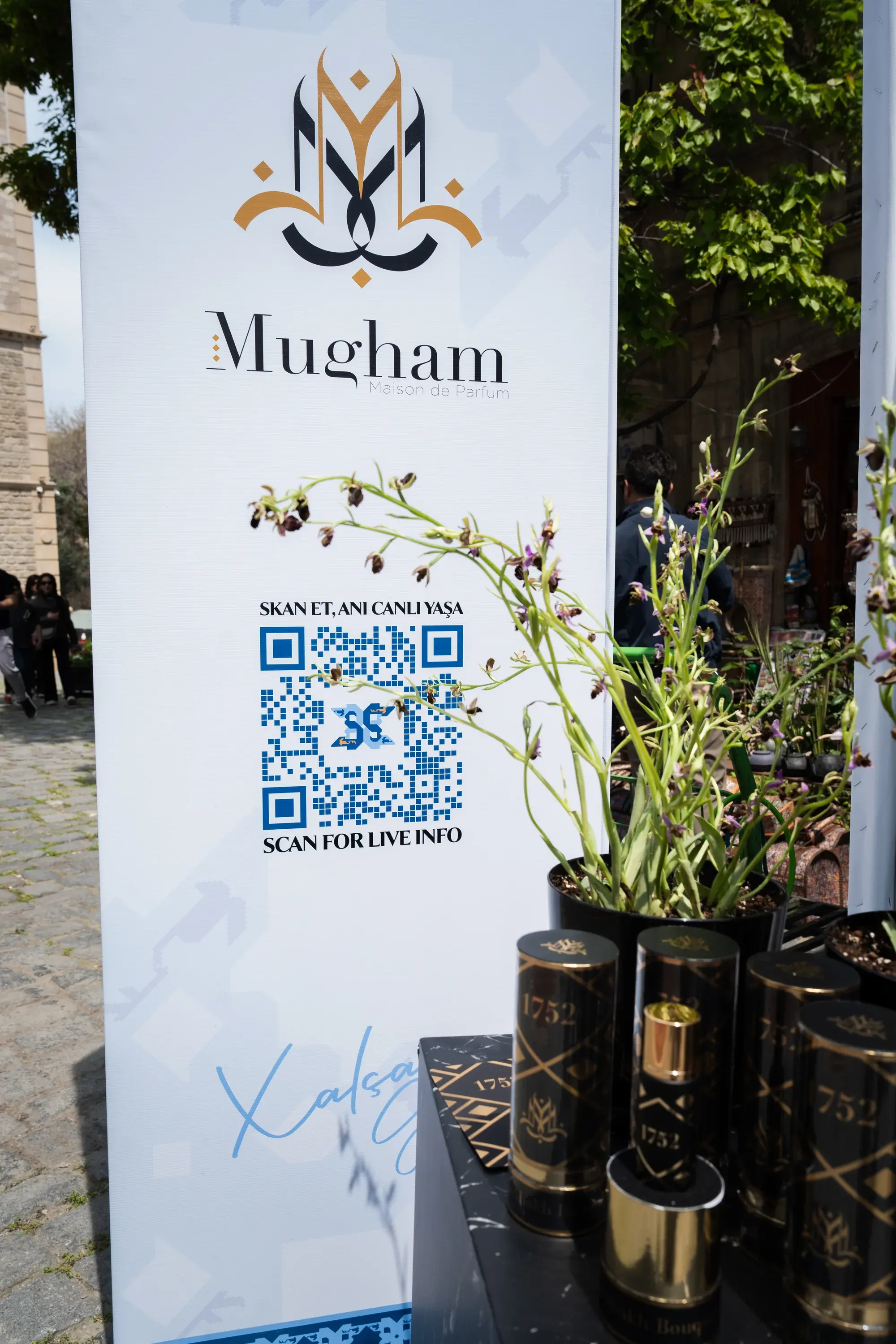 Halı Festivali — Mugham Perfümeriya — 6